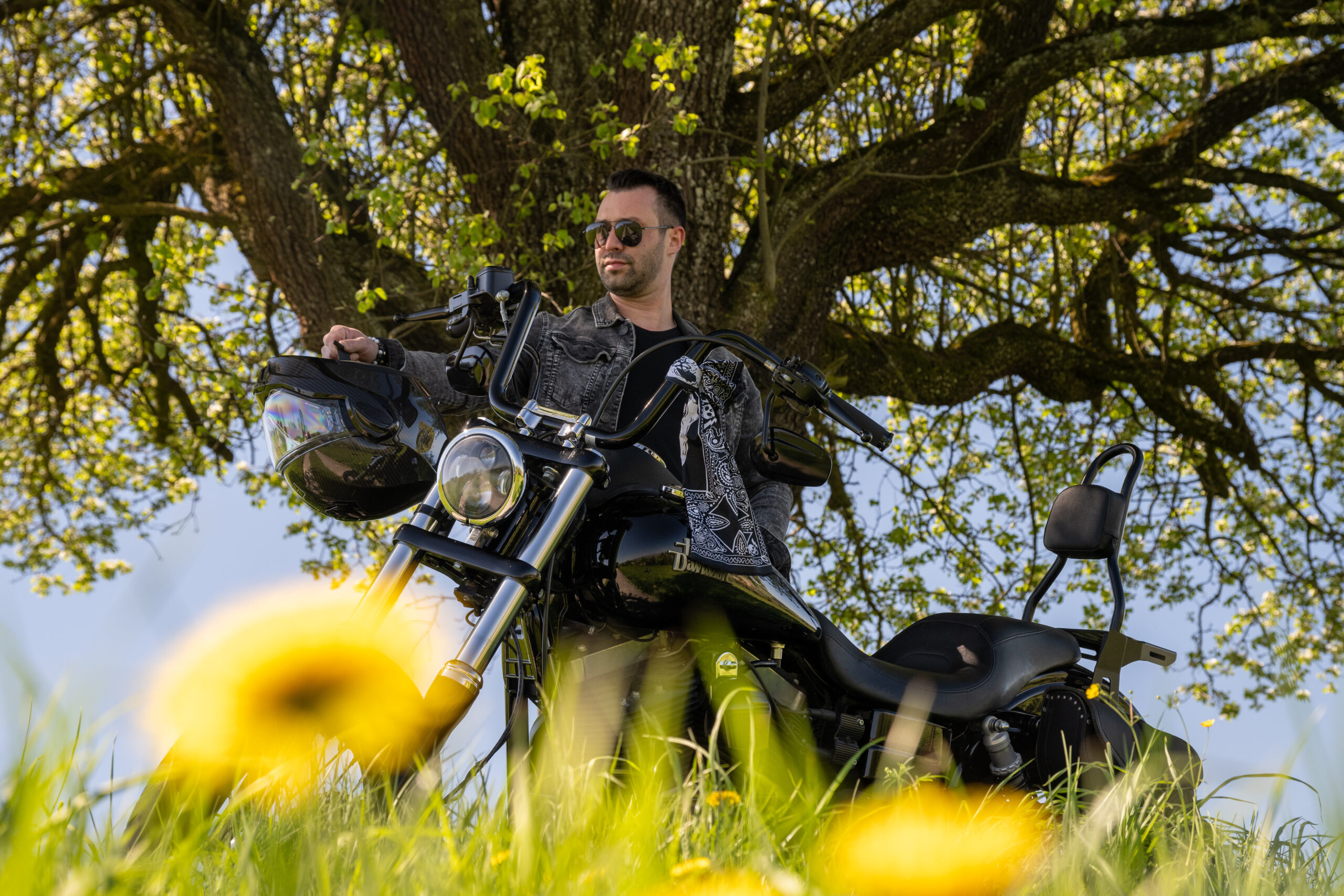 Mann steht mit seiner Harley Davidson unter einem großen Baum. Löwenzahn sieht man im Vordergrund im Unteren Bereich des Bildes