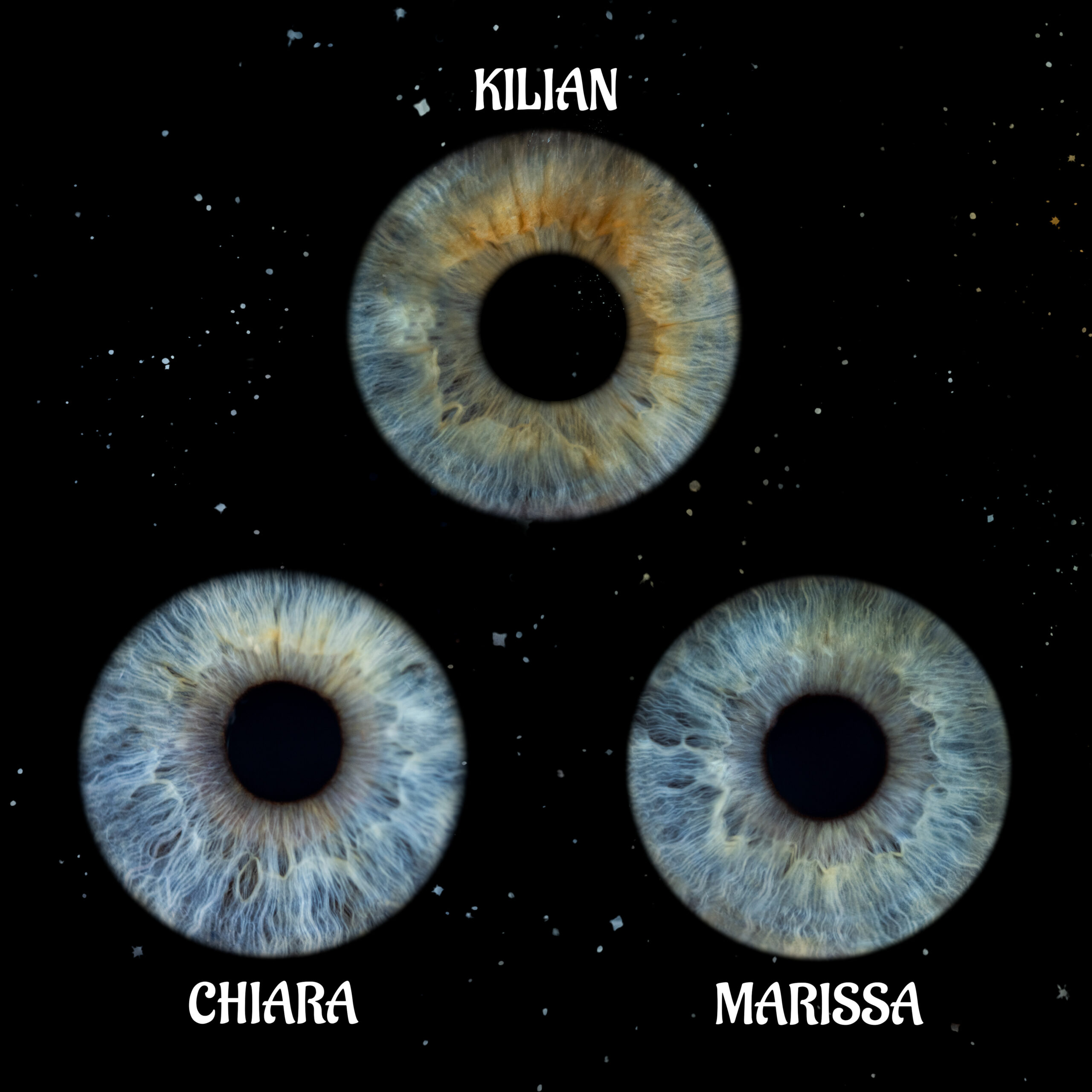 Collage mit 3 Augen für Iris-fotogafie