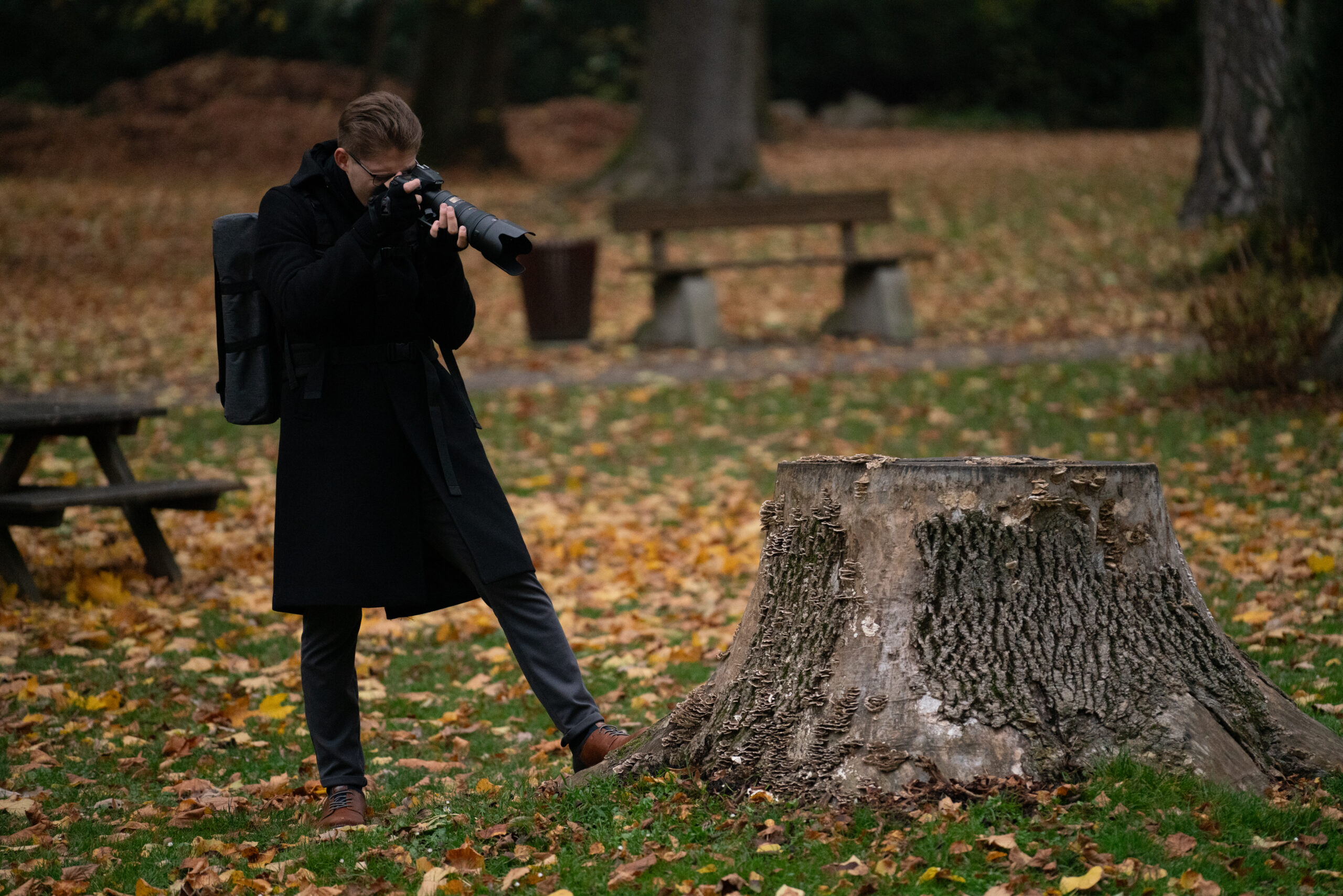 Konzentriert bei der Natur Fotografie im November